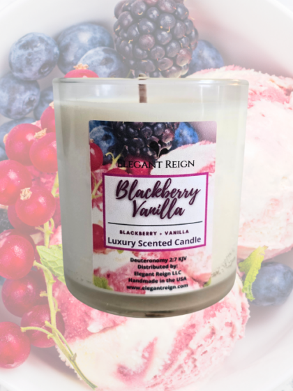 Blackberry Vanilla 10oz Candle